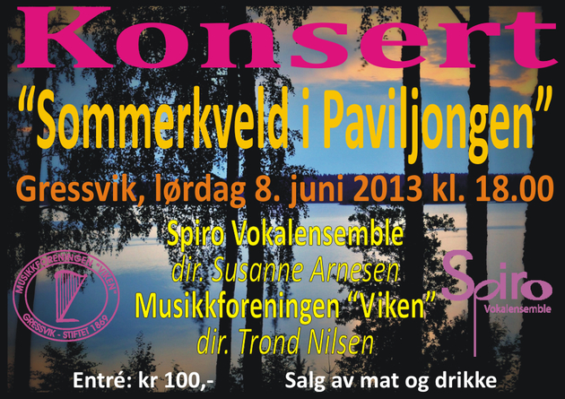 Sommerkonsert 8.6.2013